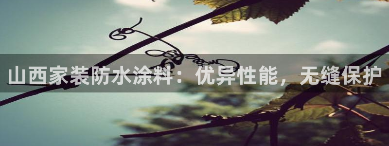 和记登陆：山西家装防水涂料：优异性能，无缝保护