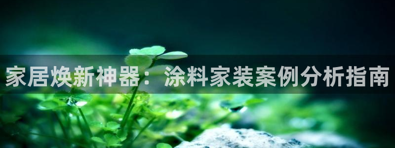 下载和记app：家居焕新神器：涂料家装案例分析指南