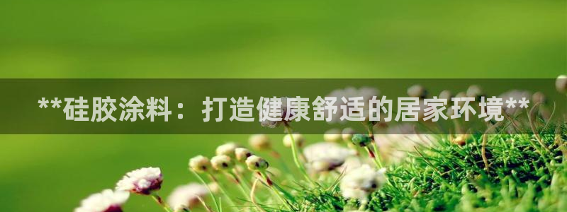 和记平台登陆：**硅胶涂料：打造健康舒适的居家环境**
