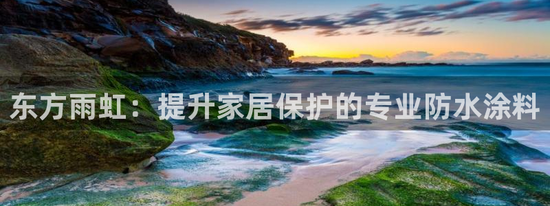 和记paging：东方雨虹：提升家居保护的专业防水涂料