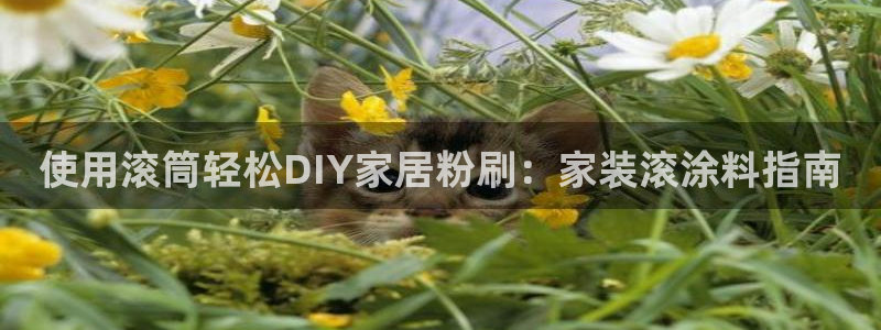 和记广告女主角