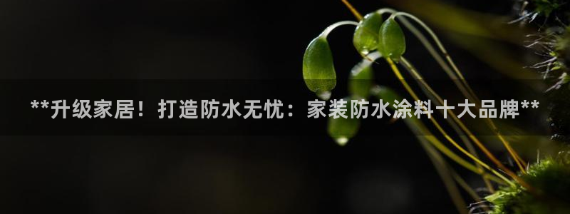 和记h88最新客户端下载：**升级家居！打造防水无忧：家装防水涂料十大品牌**