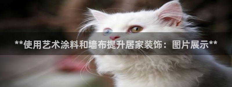 和记ag旗舰厅：**使用艺术涂料和墙布提升居家装饰：图片展示**