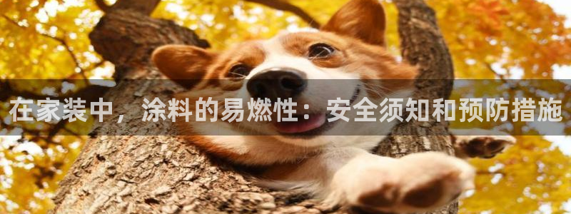 和记ag旗舰厅app