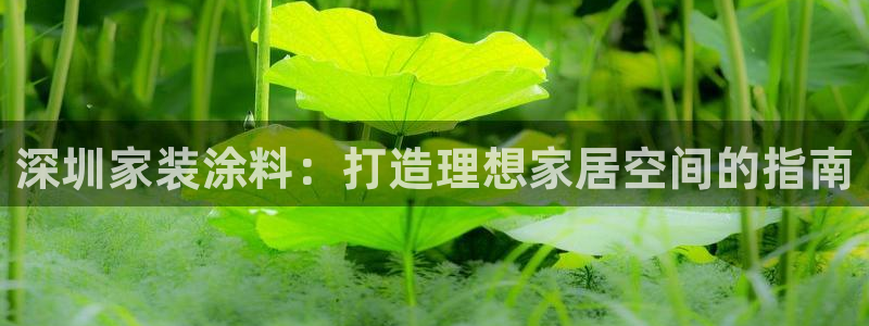 和记官网[中国]官方网站：深圳家装涂料：打造理想家居空间的指南