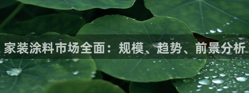 和记官方：家装涂料市场全面：规模、趋势、前景分析