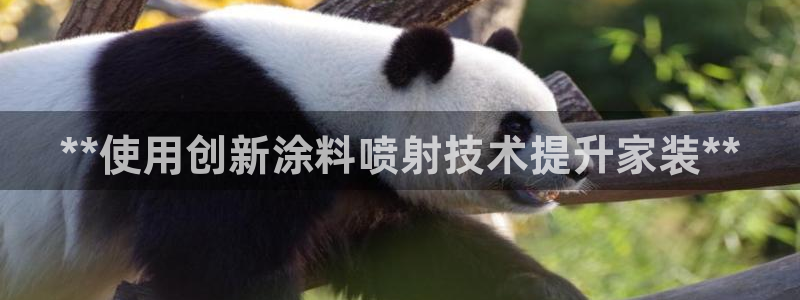和记官网登录：**使用创新涂料喷射技术提升家装**