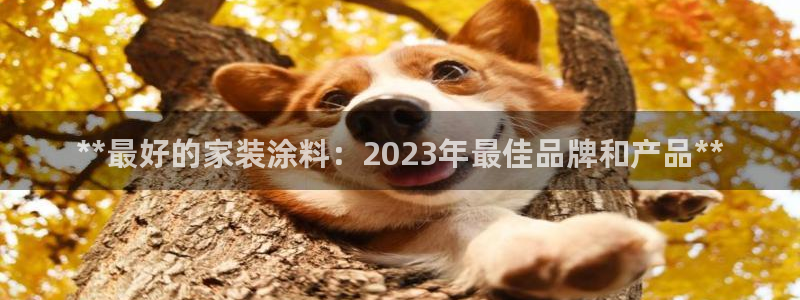 青岛大生和记餐饮管理有限公司：**最好的家装涂料：2023年最佳品牌和产品**