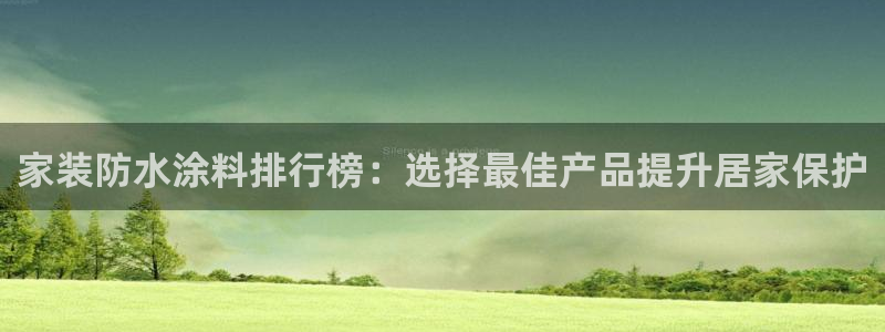 和记平台怎么样：家装防水涂料排行榜：选择最佳产品提升居家保护