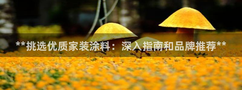 和记H88