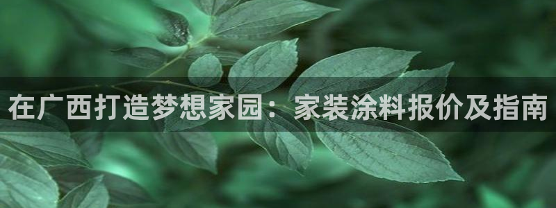 官方和记国际平台登录：在广西打造梦想家园：家装涂料报价及指南