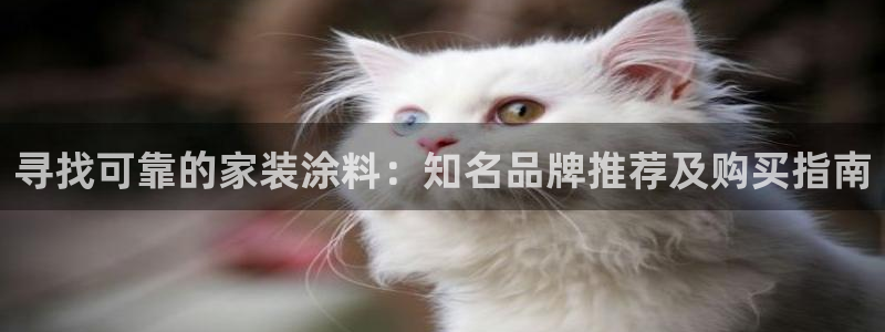 和记电业集团