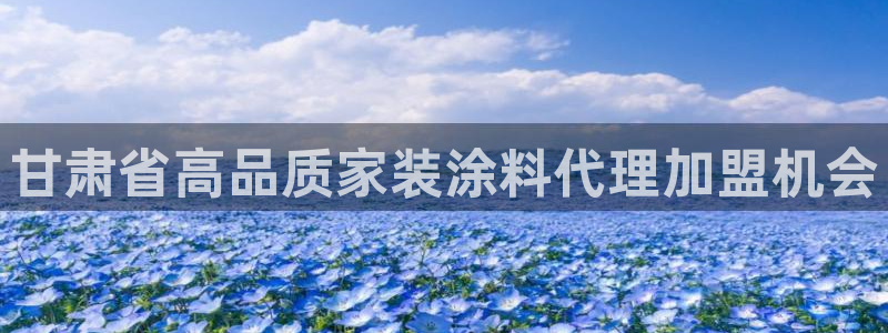 上海和记餐饮有限公司：甘肃省高品质家装涂料代理加盟机会