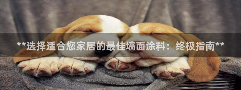 和记国际听：**选择适合您家居的最佳墙面涂料：终极指南**
