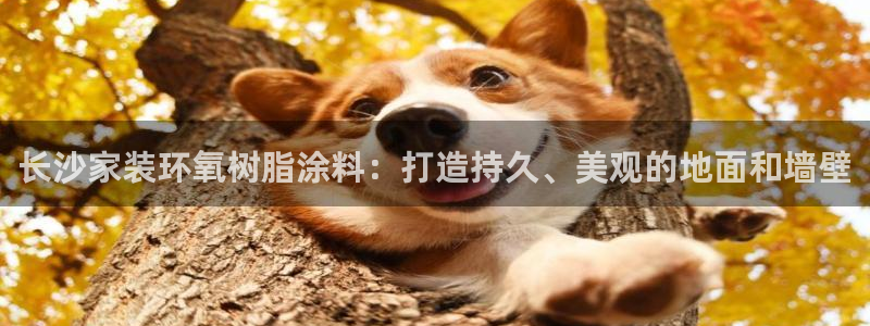 和记广告女主角：长沙家装环氧树脂涂料：打造持久、美观的地面和墙壁