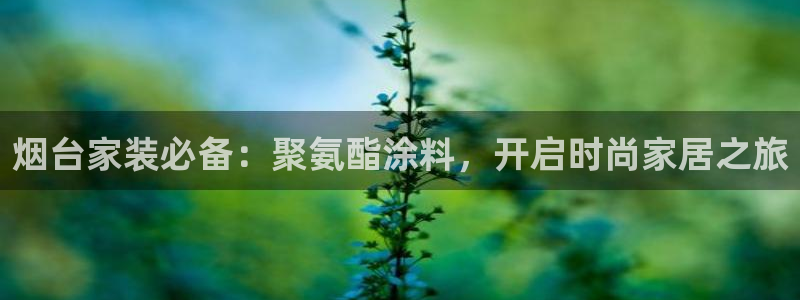 和记官方网站：烟台家装必备：聚氨酯涂料，开启时尚家居之旅