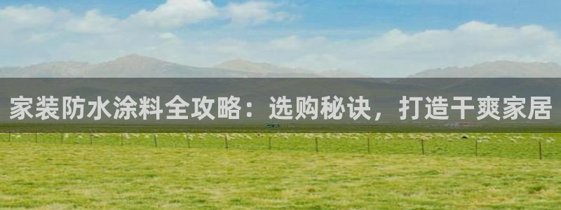 下载和记app：家装防水涂料全攻略：选购秘诀，打造干爽家居