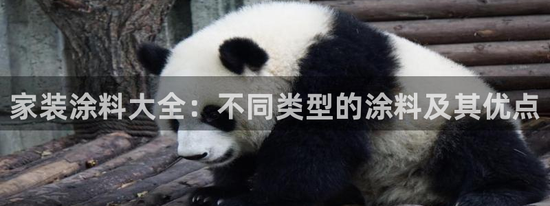 和记paging：家装涂料大全：不同类型的涂料及其优点