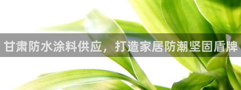 和记官网 公司