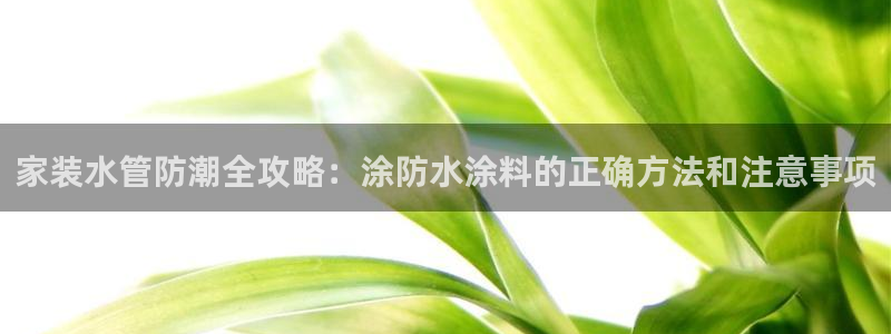 和记国际开户