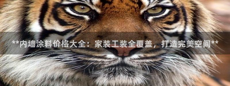 和记AG旗舰：**内墙涂料价格大全：家装工装全覆盖，打造完美空间**