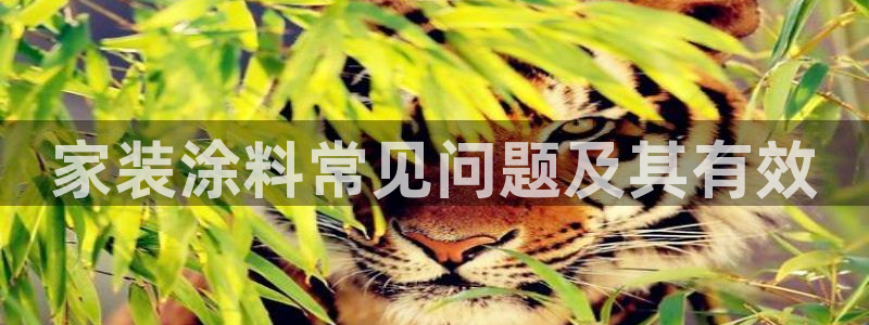 和记平台登陆：家装涂料常见问题及其有效