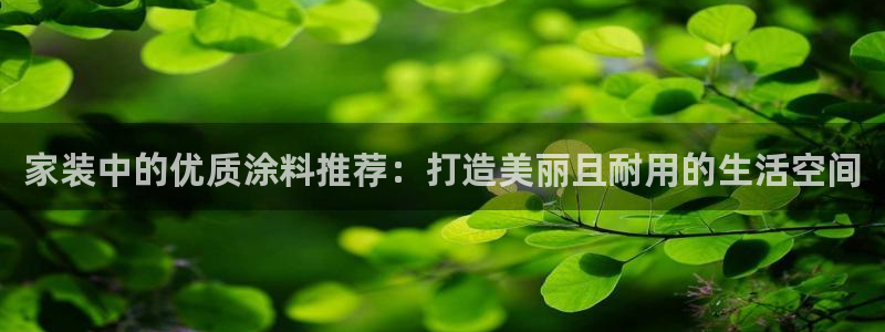 和记官网 公司：家装中的优质涂料推荐：打造美丽且耐用的生活空间