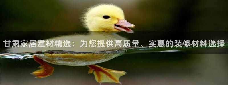 官方和记国际平台登录：甘肃家居建材精选：为您提供高质量、实惠