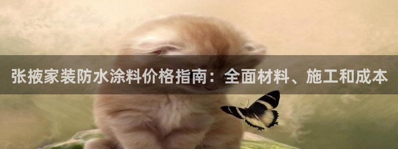 和记下载：张掖家装防水涂料价格指南：全面材料、施工和成本