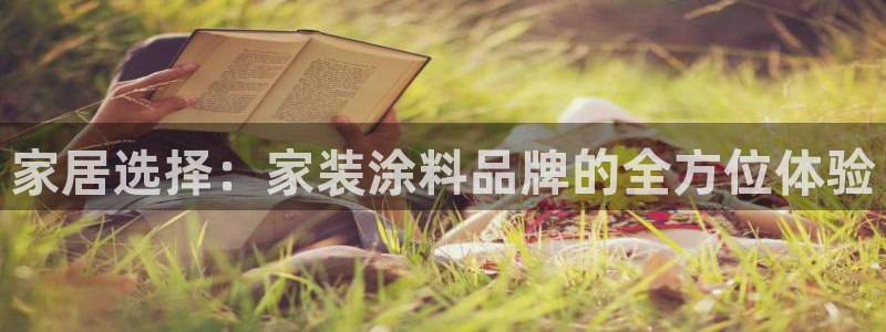 和记国际：家居选择：家装涂料品牌的全方位体验