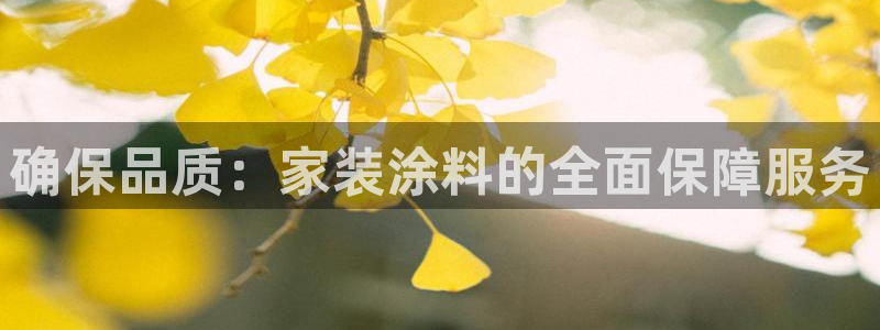 和记官网[中国]官方网站：确保品质：家装涂料的全面保障服务
