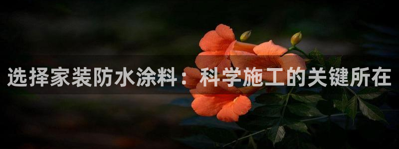 和记pc：选择家装防水涂料：科学施工的关键所在
