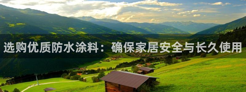 和记国际：选购优质防水涂料：确保家居安全与长久使用