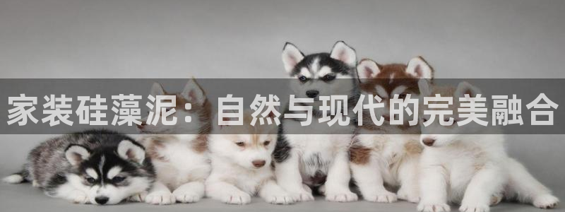 和记平台官网：家装硅藻泥：自然与现代的完美融合