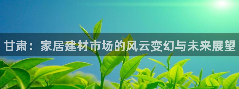 和记h88最新客户端下载：甘肃：家居建材市场的风云变幻与未来展望