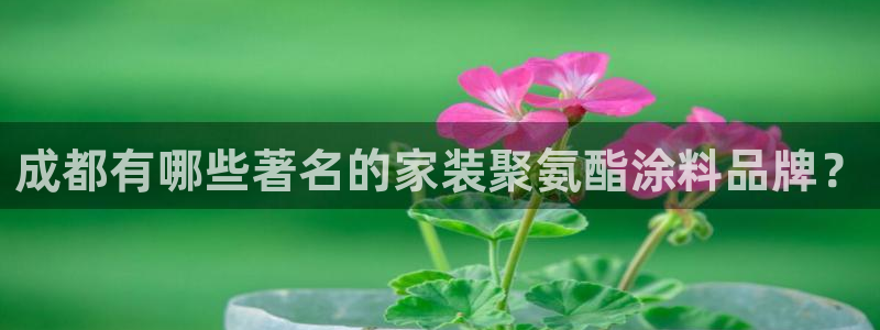 和记国际官网官网：成都有哪些著名的家装聚氨酯涂料品牌？