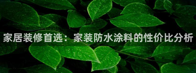 和记 中国官网