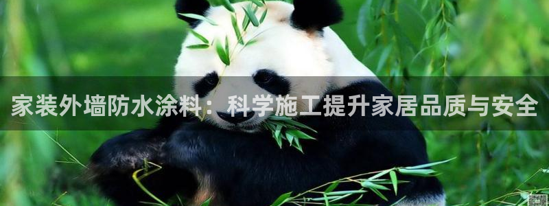 深圳和记科技有限公司：家装外墙防水涂料：科学施工提升家居品质与安全