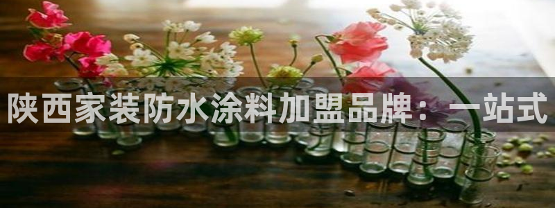 和记h8：陕西家装防水涂料加盟品牌：一站式