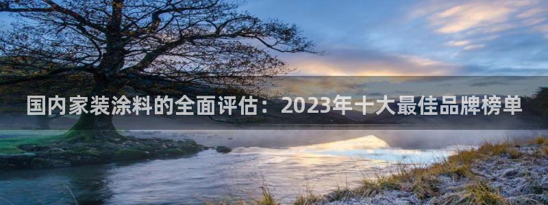 和记官网首页：国内家装涂料的全面评估：2023年十大最佳品牌