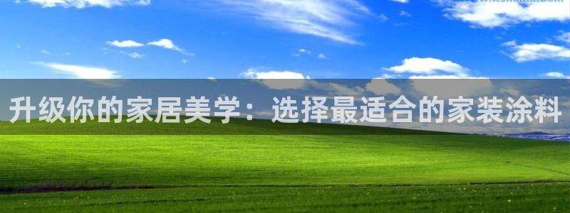 上海和记餐饮有限公司：升级你的家居美学：选择最适合的家装涂料