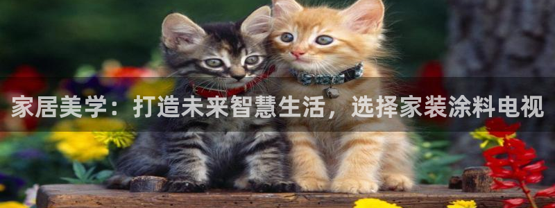 和记平台登录：家居美学：打造未来智慧生活，选择家装涂料电视