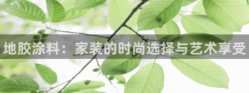 和记国际听：地胶涂料：家装的时尚选择与艺术享受