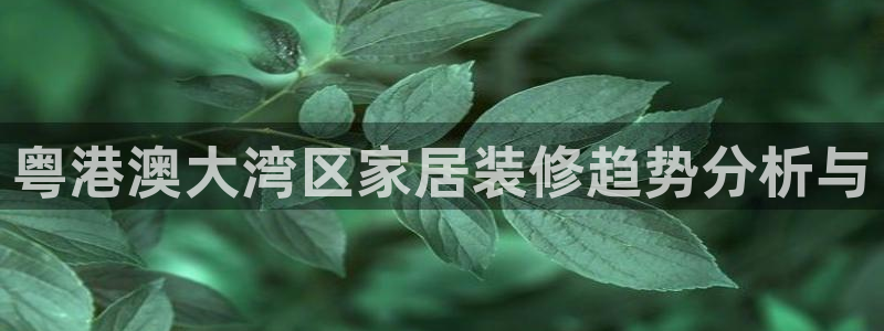 和记官网登录：粤港澳大湾区家居装修趋势分析与