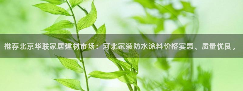 和记5g电讯