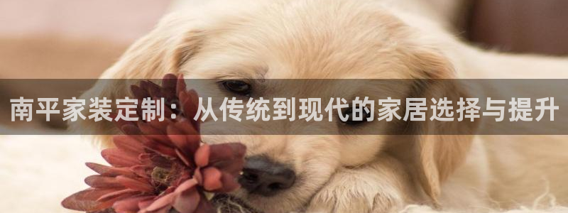 和记AG网站：南平家装定制：从传统到现代的家居选择与提升