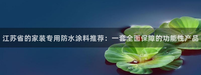 和记官网登录：江苏省的家装专用防水涂料推荐：一套全面保障的功能性产品