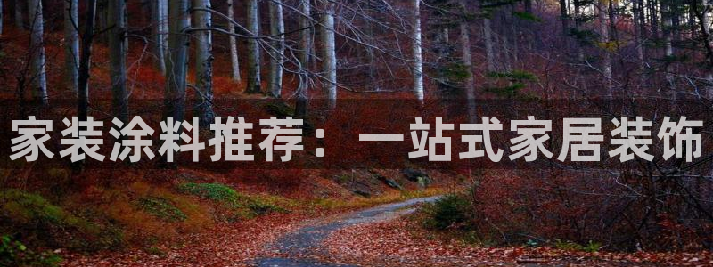 和记广告女主角：家装涂料推荐：一站式家居装饰