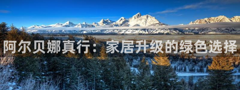 和记5g电讯：阿尔贝娜真行：家居升级的绿色选择