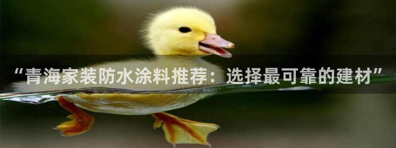 和记国际开户网站：“青海家装防水涂料推荐：选择最可靠的建材”